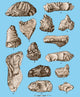Eoliths from France, Belgium and England Poster Print showcasing prehistoric artifacts.