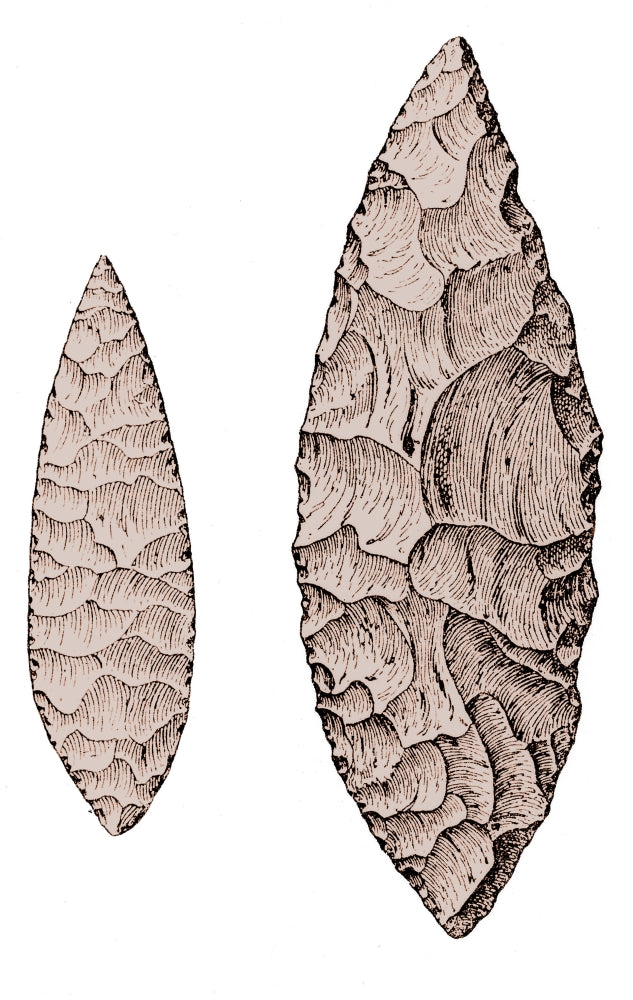 Leaf-Shaped Flint Implements Upper Paleolithic Poster Print showcasing ancient tools.