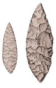 Leaf-Shaped Flint Implements Upper Paleolithic Poster Print showcasing ancient tools.