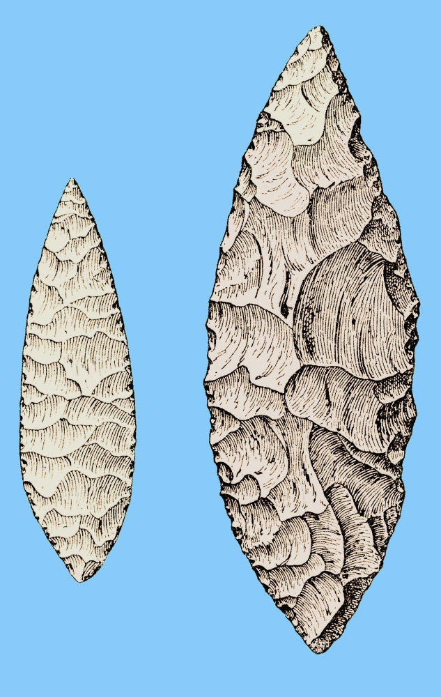 Leaf-Shaped Flint Implements Upper Paleolithic Poster Print