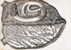 Heart with Parasite poster print showcasing a detailed scientific illustration.