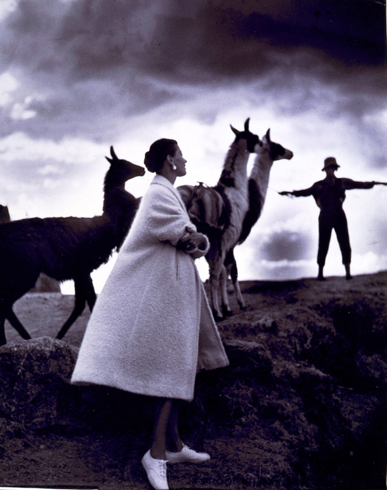 Vintage poster print of a fashion model with llamas from 1952.