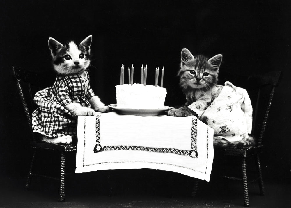 The Birthday Cake 1914 Poster Print - Vintage Artwork