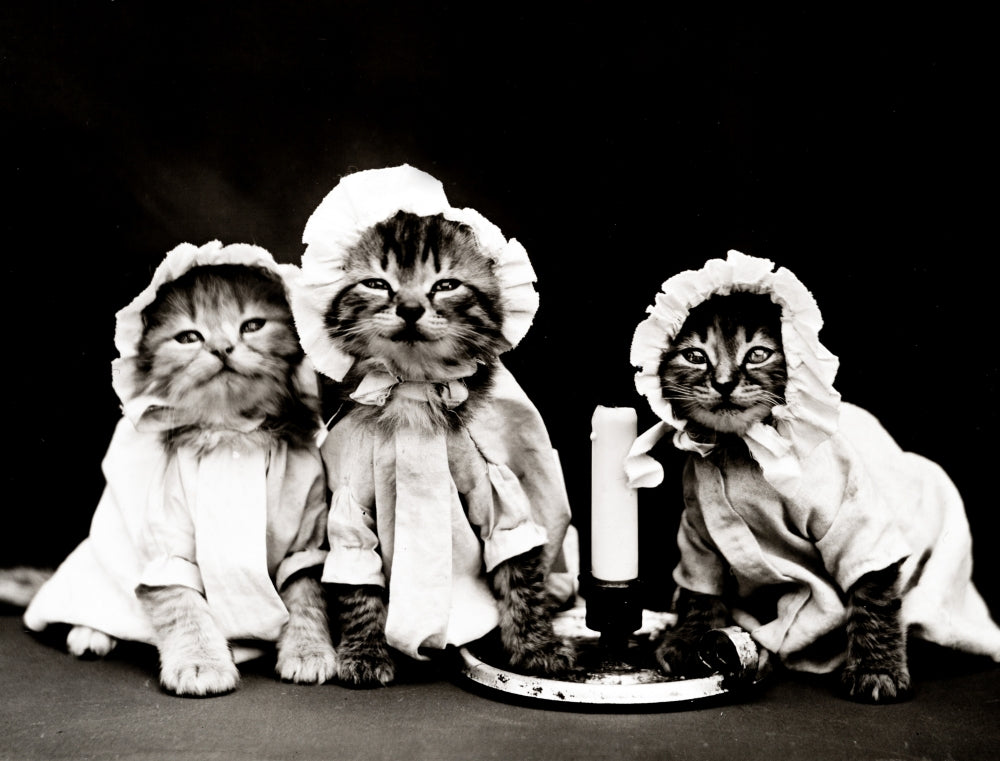Ready for Bed 1914 Poster Print on premium paper.