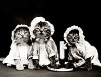 Ready for Bed 1914 Poster Print on premium paper.