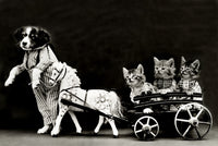 A Joy-Ride vintage 1914 poster print by Science Source, showcasing early 20th-century culture.