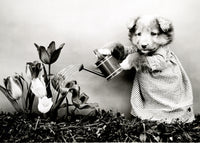 Watering the Flowers 1914 Poster Print - Vintage Art