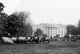 President Wilson's Sheep 1917 Poster Print showcasing historical significance.