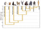 Human Evolution Poster Print by Spencer Sutton showcasing the journey of humanity.