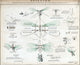 Man-Powered Flying Machine Poster Print from 1866 showcasing early aviation concepts.