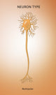 Multipolar Neuron Illustration Poster Print by Science Source