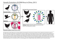 H7N9 Influenza A Avian Flu Virus Poster Print showcasing detailed viral structure.