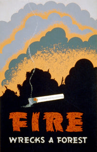 1939 Forest Fire Prevention Poster Print by Science Source, educational art.