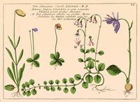 http://c328301.r1.cf1.rackcdn.com/SCIJC3094.jpg