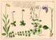 http://c328301.r1.cf1.rackcdn.com/SCIJC3094.jpg
