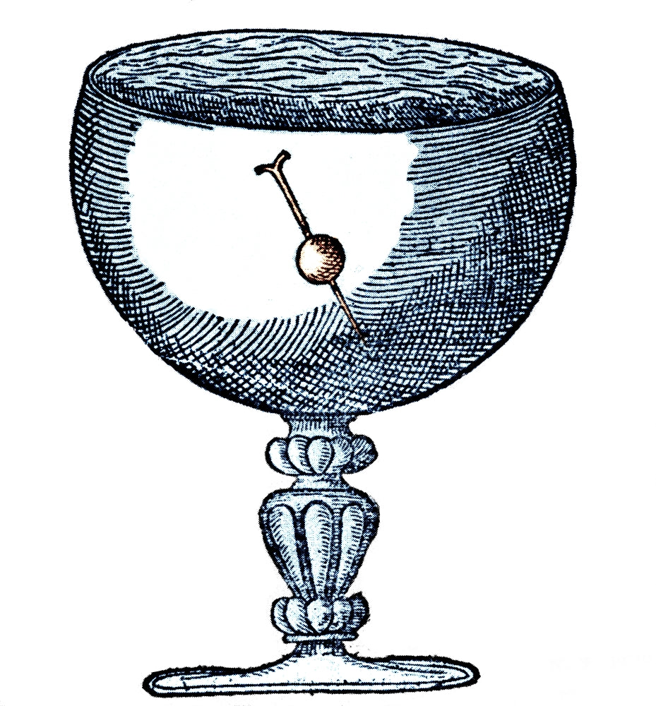 Gilbert's Experiment Showing Magnetic Dip Poster Print for educational purposes