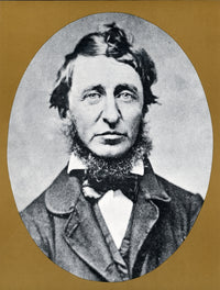Henry David Thoreau Poster Print showcasing the American author's wisdom.