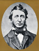 Henry David Thoreau Poster Print showcasing the American author's wisdom.