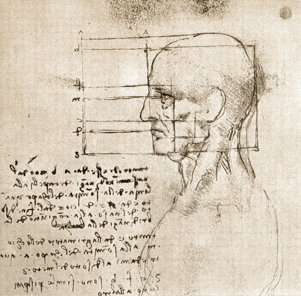Anatomical Drawing by Leonardo da Vinci Poster Print