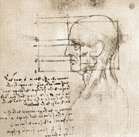 Anatomical Drawing by Leonardo da Vinci Poster Print