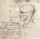 Anatomical Drawing by Leonardo da Vinci Poster Print