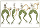 Galvani's Frog Experiments Poster Print from the 1770s on premium paper.