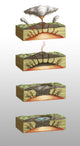 Caldera Formation Illustration Poster Print by Spencer Sutton, available in multiple sizes.