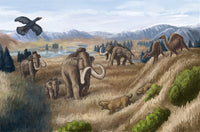 Tertiary Period Illustration Poster Print by Spencer Sutton
