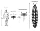 Carboniferous Fauna Compared to Humans Poster Print showcasing ancient creatures alongside modern humans.