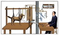 Pavlovian Experiment on Dog Poster Print showcasing behavioral science