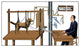 Pavlovian Experiment on Dog Poster Print showcasing behavioral science