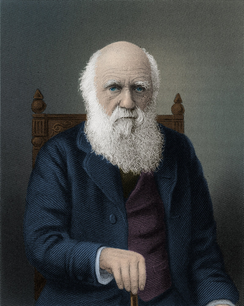 Charles Darwin poster print showcasing the English naturalist's legacy.