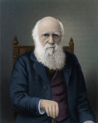 Charles Darwin poster print showcasing the English naturalist's legacy.
