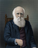 Charles Darwin poster print showcasing the English naturalist's legacy.