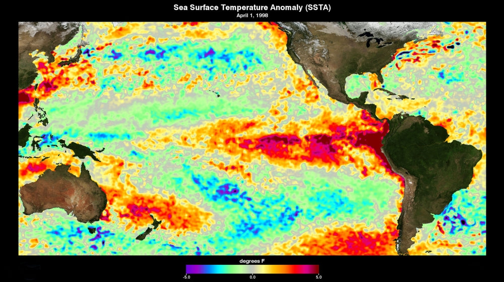 El Niño Sea Surface Temperature Poster Print depicting ocean patterns from 1998.