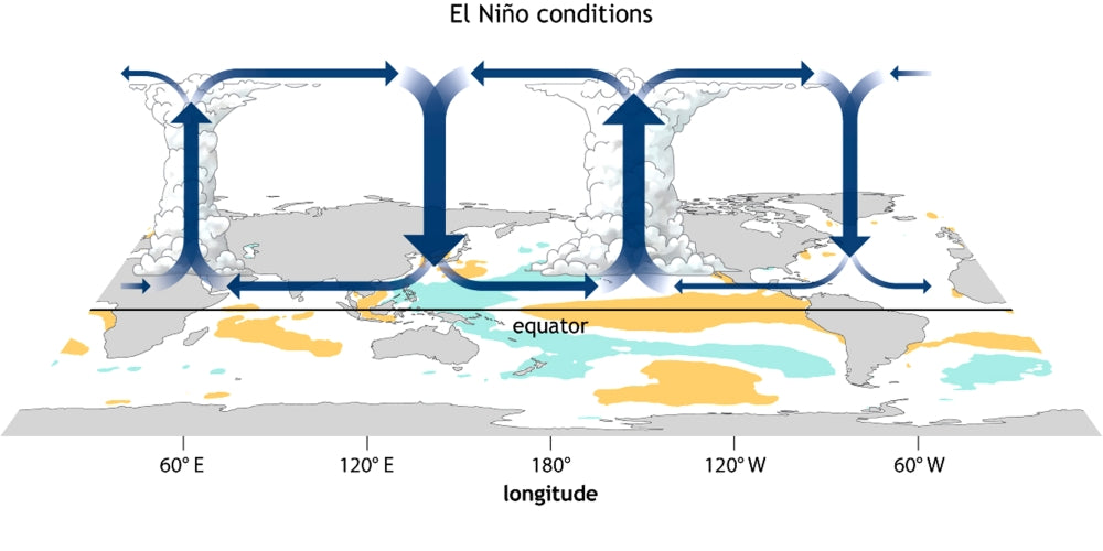 El Niño Walker Circulation Anomaly Poster Print by Science Source