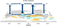 El Niño Walker Circulation Anomaly Poster Print by Science Source