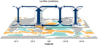 La Niña Walker Circulation Anomaly Poster Print - Educational Climate Art