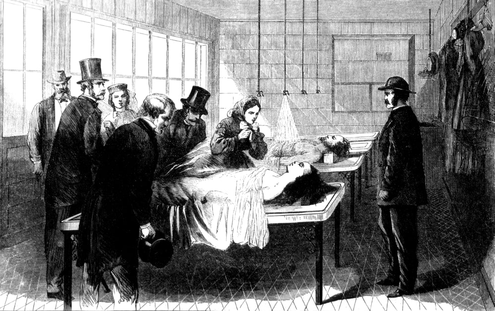 New York City Morgue, Bellevue Hospital, 1866 Poster Print