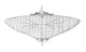 Pénaud-Gauchot Twin-Propeller Monoplane Poster Print (1876)