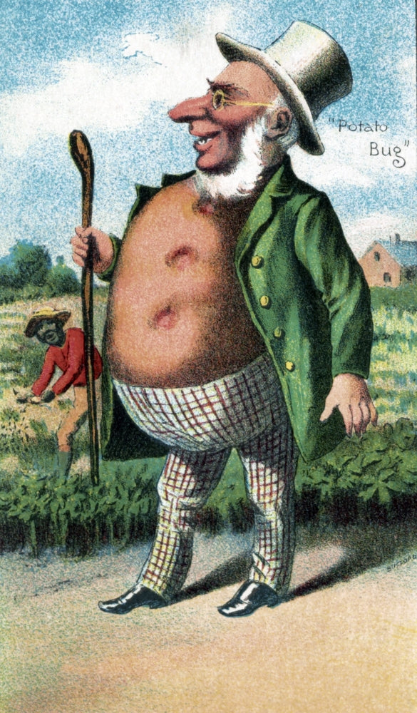 Bufford's Vegetable Card Potato Poster Print from 1887