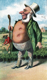 Bufford's Vegetable Card Potato Poster Print from 1887