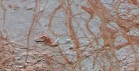 Surface of Jupiter's Moon, Europa Poster Print showcasing icy terrain.