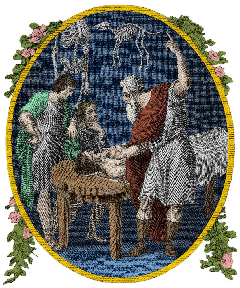 Galen Ancient Greek Physician and Philosopher Poster Print