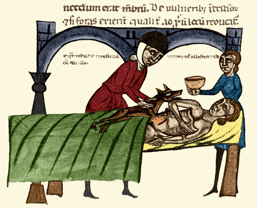 Surgery Dead Dog Warming Wound Poster Print showcasing veterinary science.