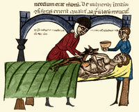 Surgery Dead Dog Warming Wound Poster Print showcasing veterinary science.