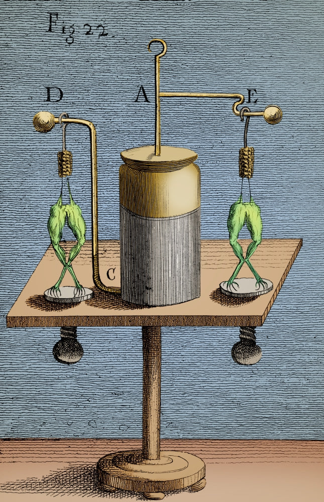 Galvanism Experiments Poster Print showcasing early scientific exploration.