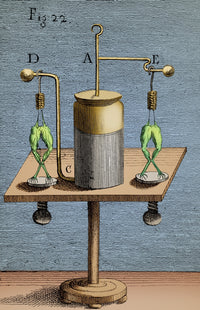 Galvanism Experiments Poster Print showcasing early scientific exploration.