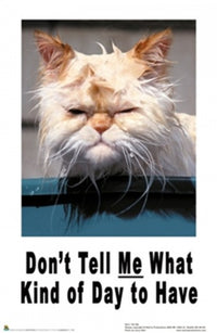 Don't Tell Me What Kind of Day to Have Cat Poster