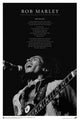 Bob Marley Iron Lion Zion Lyrics Poster Print - 22x34